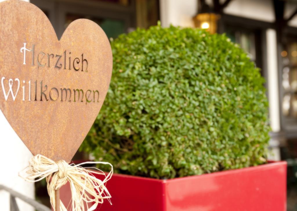 אלף Ringhotel Boemers Mosel Landhotel מראה חיצוני תמונה
